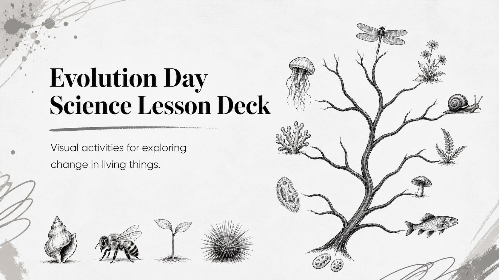 Evolution Day Science Lesson Deck