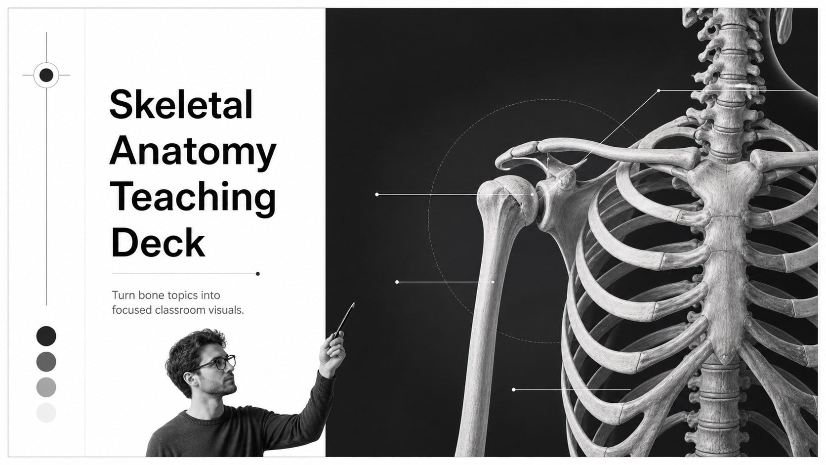 Skeletal Anatomy Teaching Deck