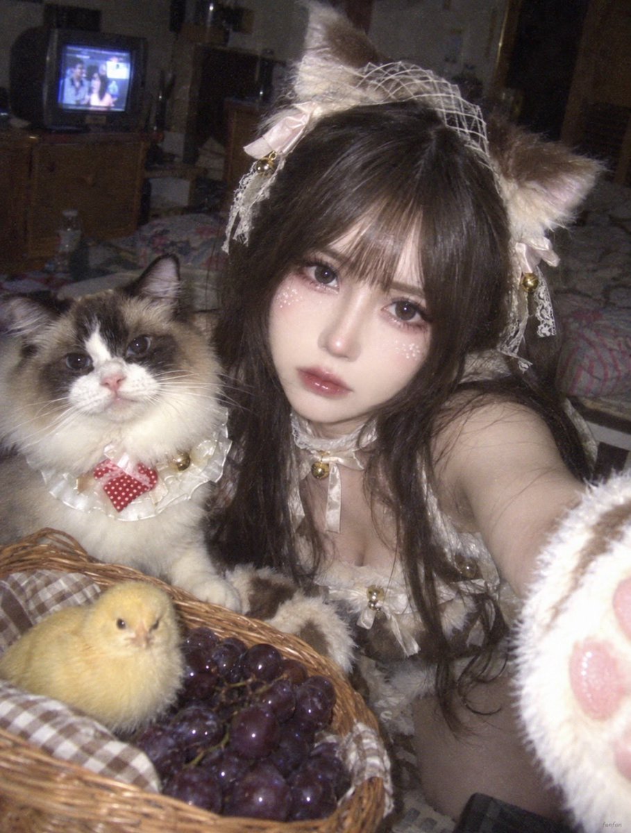 Profile / Avatar - Nokia Phone Selfie with Ragdoll Cat Cosplay - Image 1