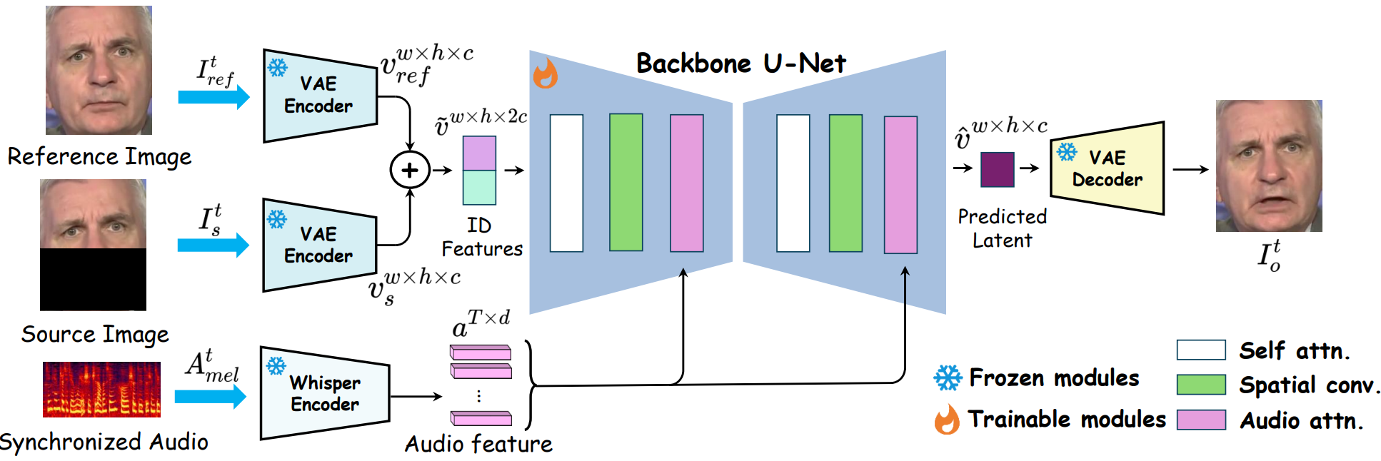Model Structure