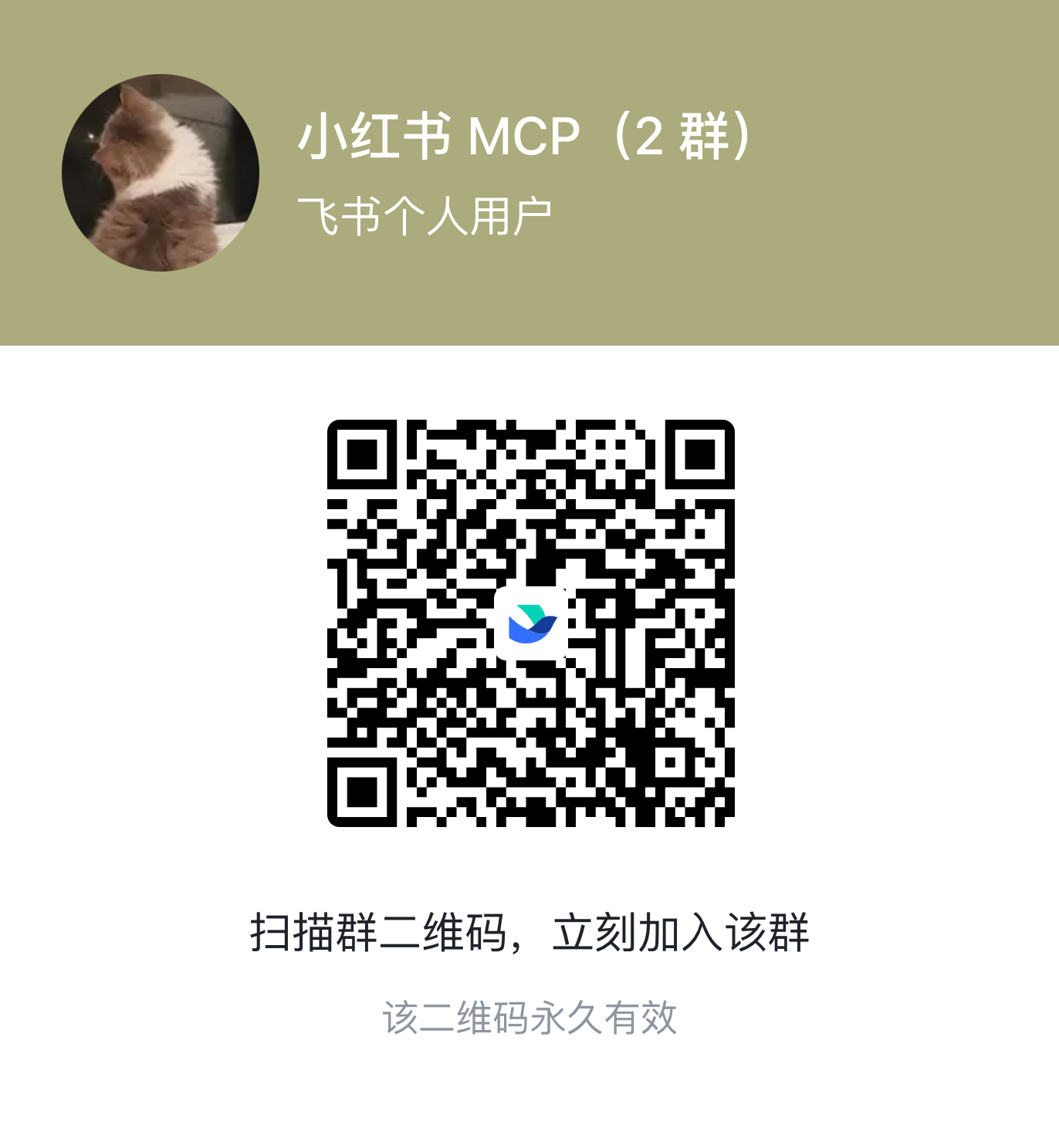 qr-feishu02