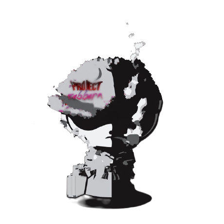 User avatar: zebbern