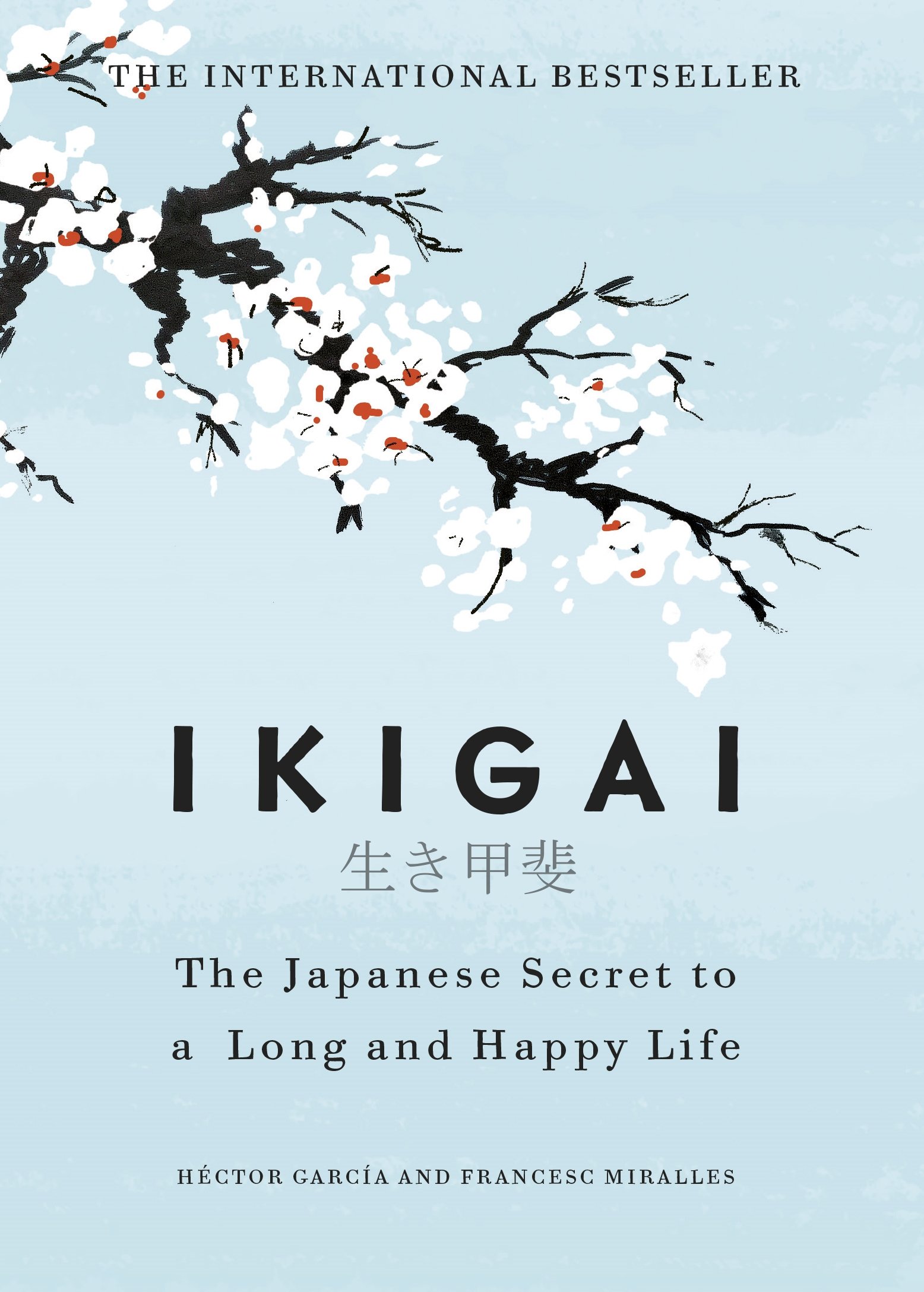 🤗 Ikigai