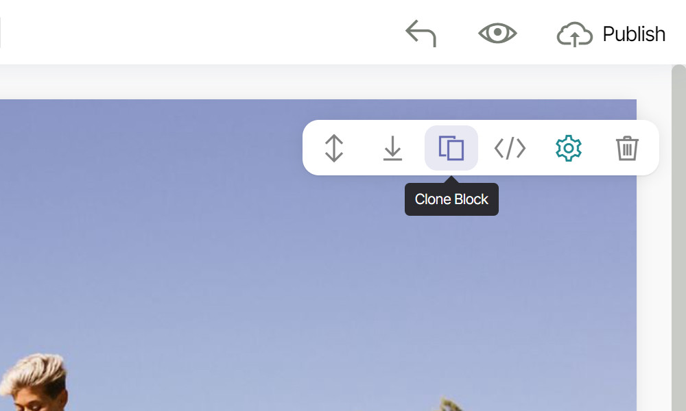 Block toolbar in the editor