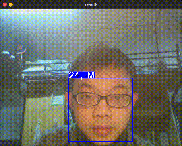 web cam