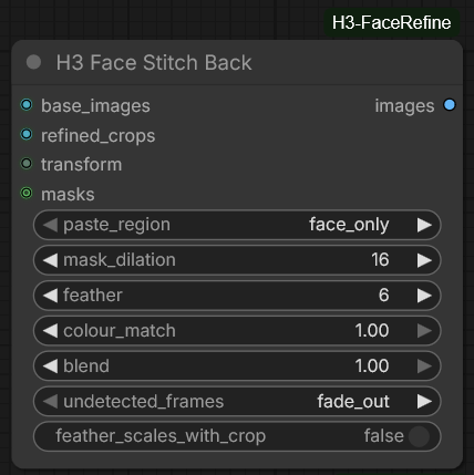 H3 Face Stitch Back