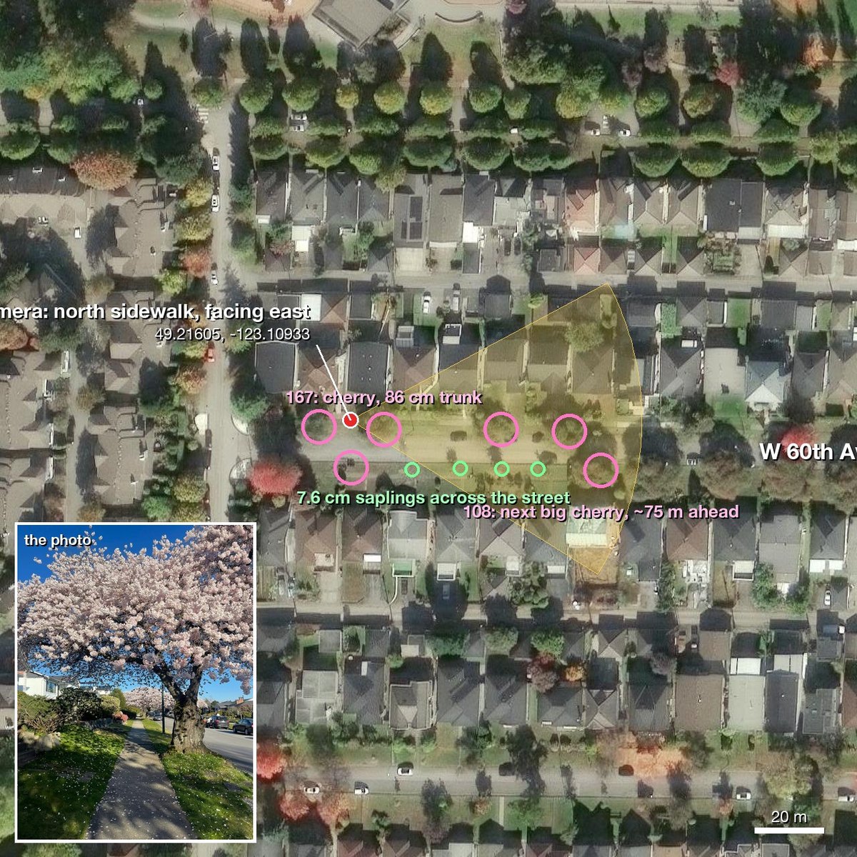 Evidence image: W 60th Ave 100 block, camera on the north sidewalk facing east, street trees from the city data