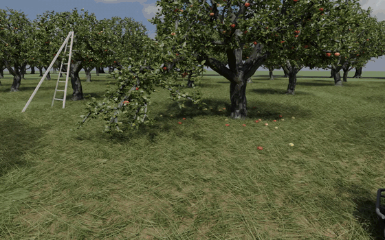 Test 1: the Husky robot is stopped by the tree's low limb