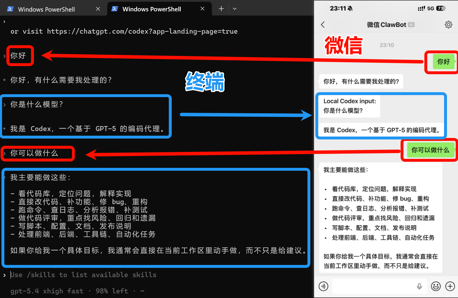 Codex windows