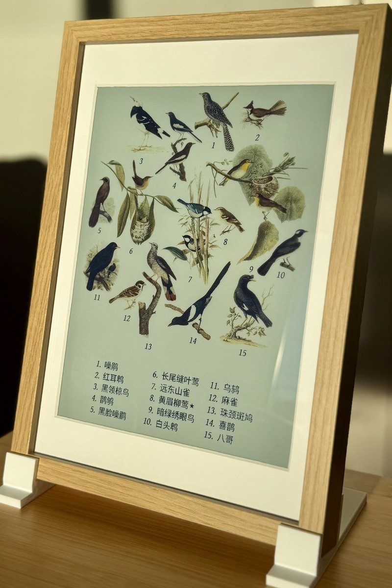 The frame showing a collage with a numbered key of the names in Chinese