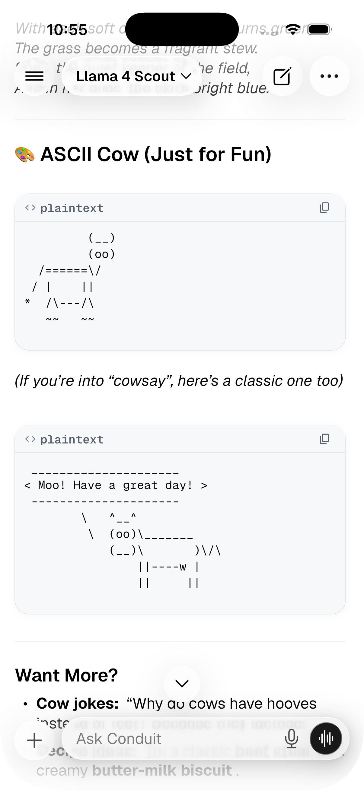 Chat with rich replies and Ask Conduit input