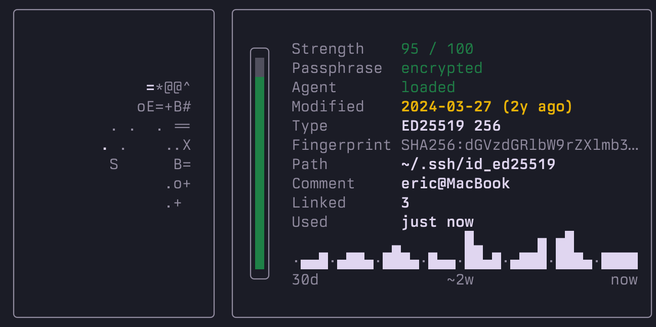purple key detail close-up: randomart fingerprint, strength score, agent status and per-key activity