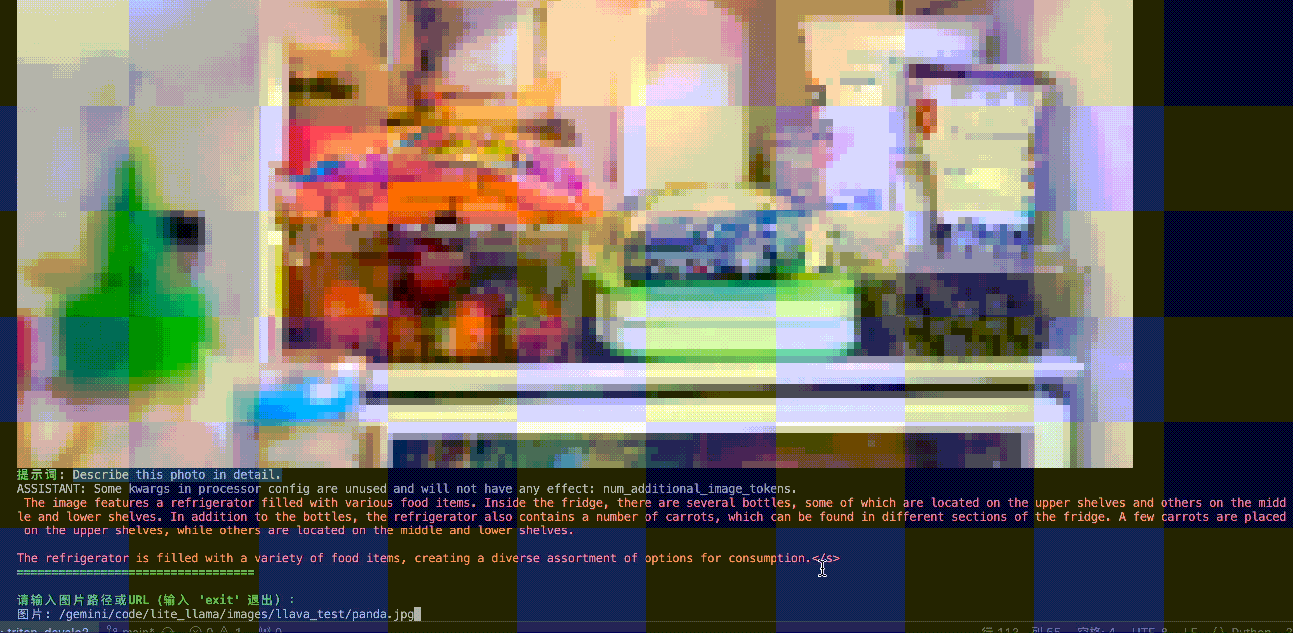 llava_output