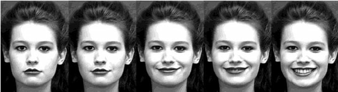 Facial expression image sequence Facial Expression Image Sequence