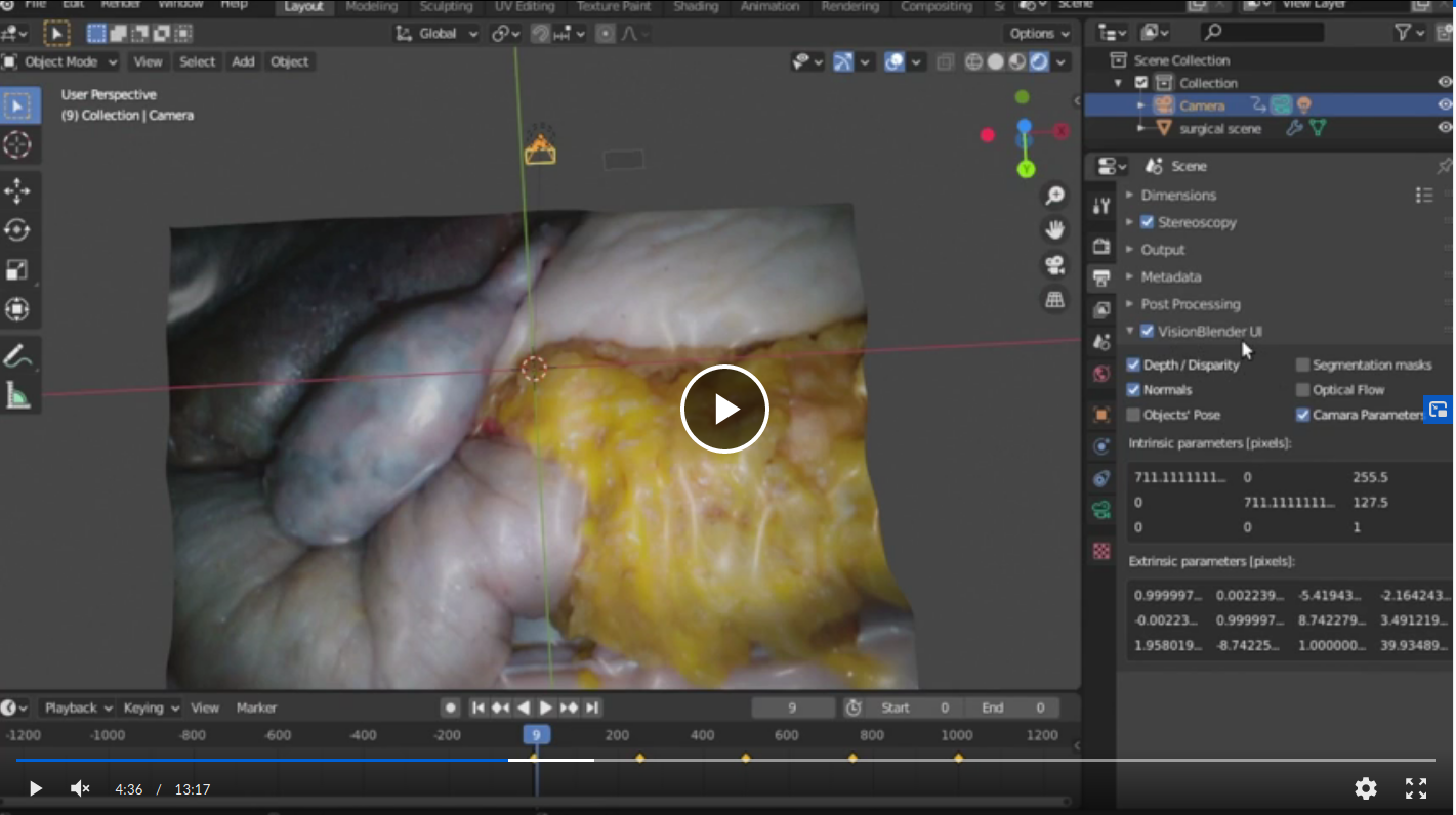 Presentation video